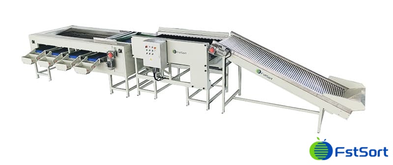 potato-dry-washing-sorting-machine